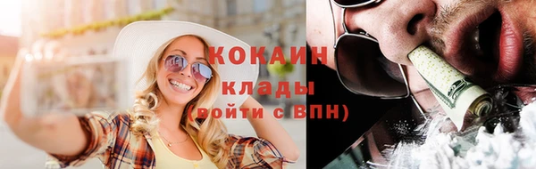 ГАЛЛЮЦИНОГЕННЫЕ ГРИБЫ Аркадак
