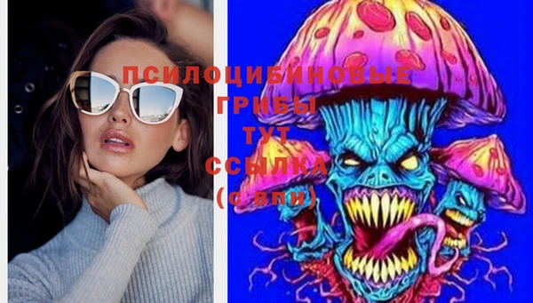 прущие крисы Армянск