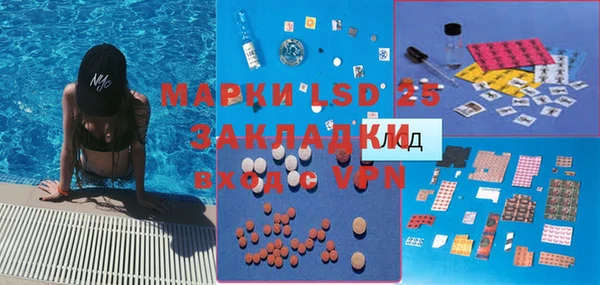 ГАЛЛЮЦИНОГЕННЫЕ ГРИБЫ Аркадак