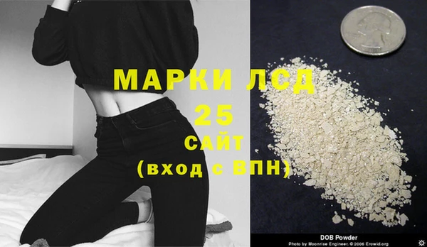 ГАЛЛЮЦИНОГЕННЫЕ ГРИБЫ Аркадак