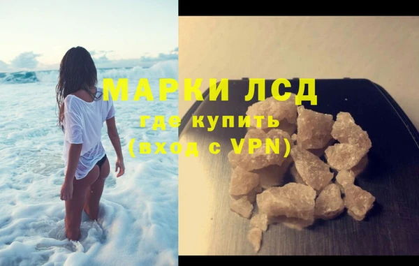 ГАЛЛЮЦИНОГЕННЫЕ ГРИБЫ Аркадак